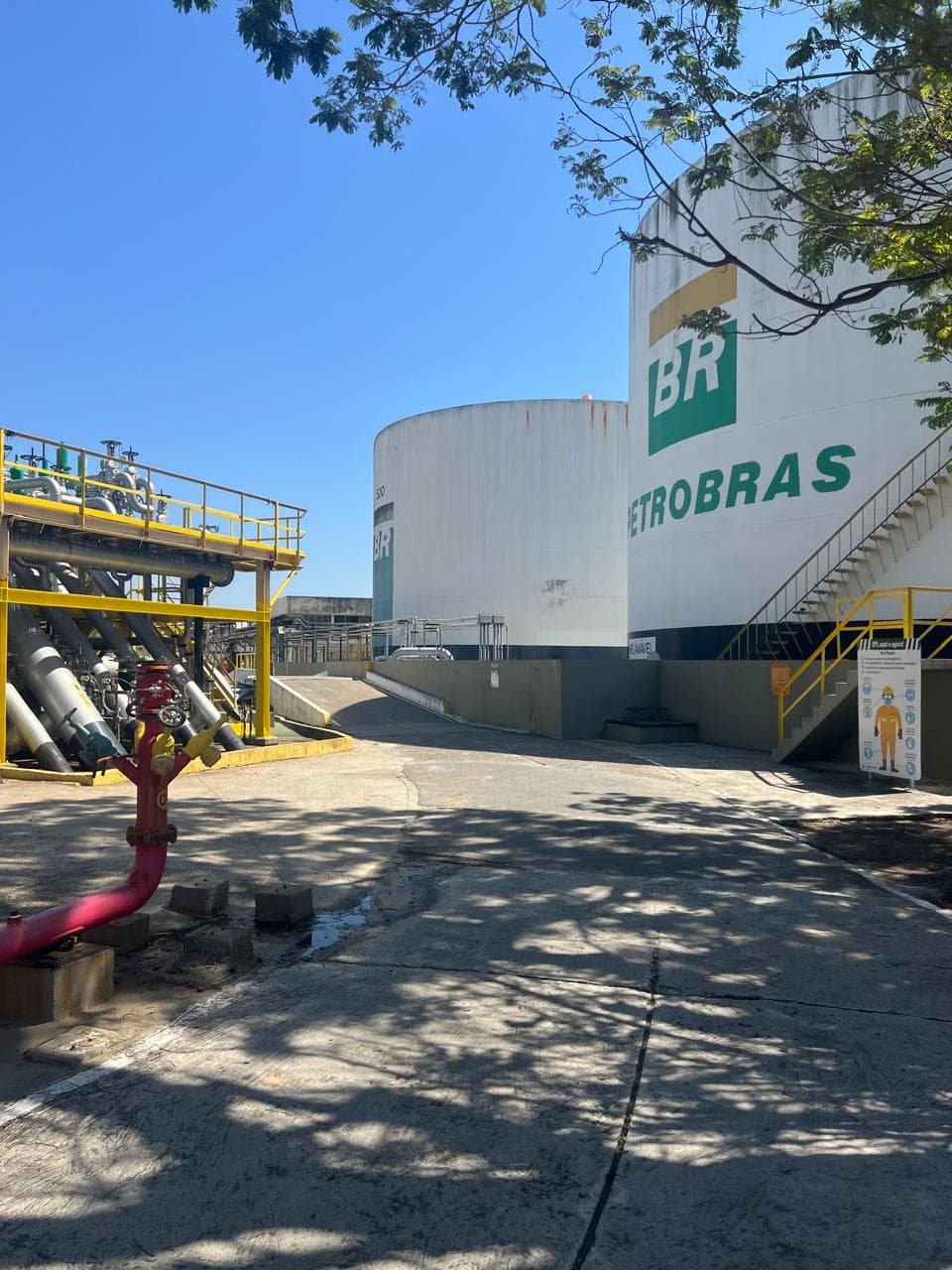 Imagem da matéria 1